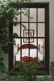 Window - Bed and Breakfast